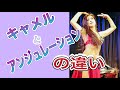 【違いを学ぼう】使う筋肉が違う⁉️キャメルとアンジュレーション。50代ベリーダンスエクササイズ