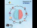 World Stroke Day 2022 | Apex Hospitals