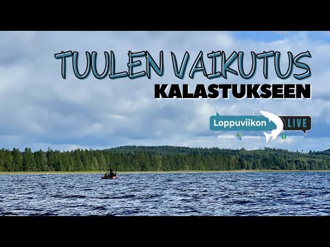 Video: Miksi tuulen puoleinen puoli on?