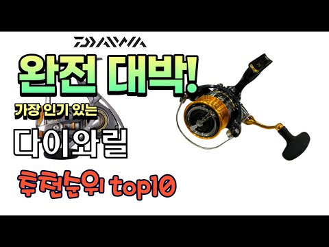 가장 인기있는 다이와릴 추천 판매순위 TOP10 가성비 평점 후기 비교