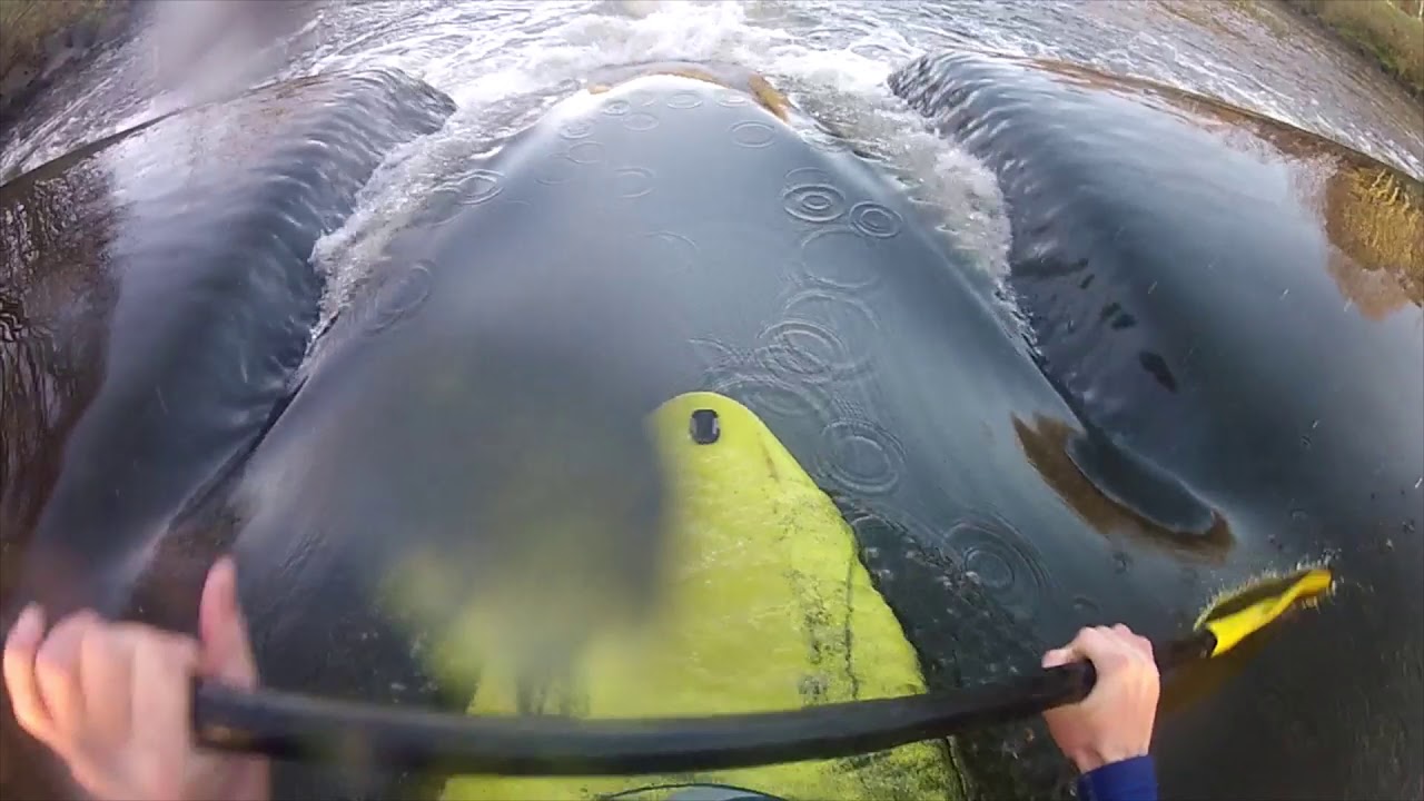 Shaw's Bridge Kayaking