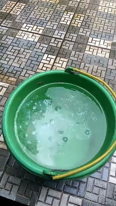 CARA MEMBUAT OBAT WERENG TANAMAN PADI DI JAMIN JOSS