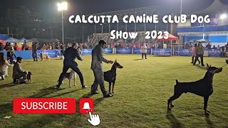 Calcutta canine club dog show 2023 | Next time with Trixie +  #bengalivlog #banglavlog