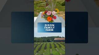 Dixon Family Farm s U-Cut Flowers Are A Southern Maryland Summer Favorite