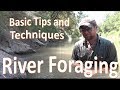 River Foraging -Finding Food at the Water-