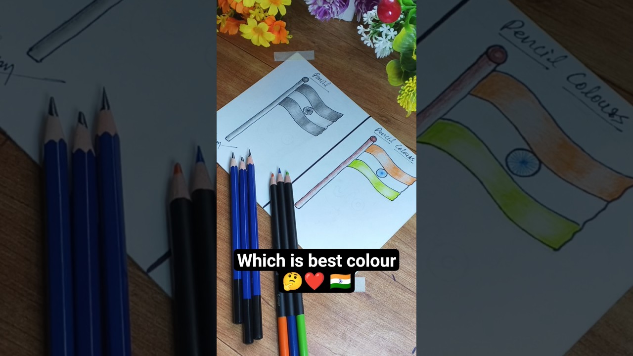 Which is best Flag Colour (Pencil 🆚 Pencil Colour)⁉️🤔🇮🇳❤ 