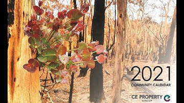 2021 Community Calendar Promo Video