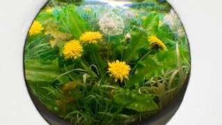 Parallel Universes In Nyc