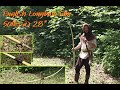 English Longbow Elm / Ulme - Shooting and Review