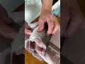 魚屋のおっちゃんに、鬼アジを捌いてもらいました‼️