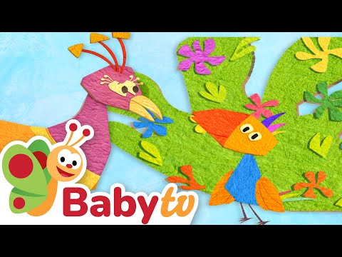 Kann Tucky wie ein Pfau tanzen? | Tierverhalten für Kleinkinder | BabyTV