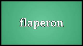 Flaperon Meaning