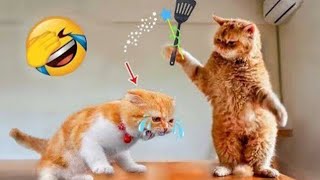 Must-See Funny Moments with Cats and Dogs 🤣 #18