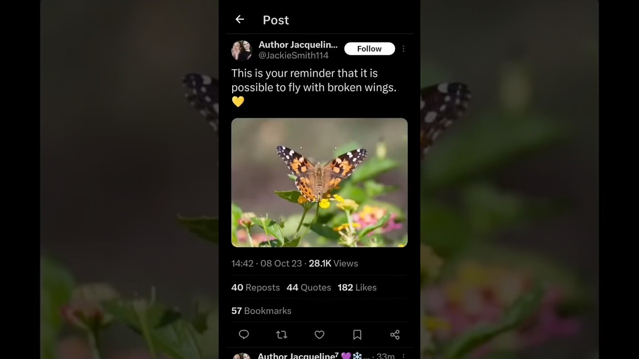 Fly broken wings is so true 😔😔 