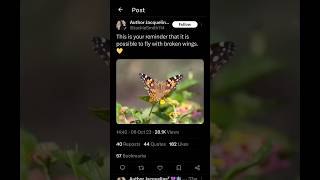 Download Lagu Fly broken wings is so true 😔😔 #shorts MP3