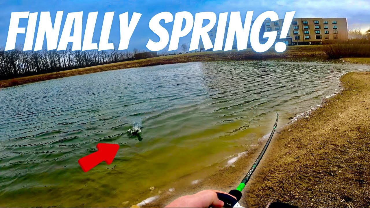 Looking For GIANT Pre-Spawn Bass!!