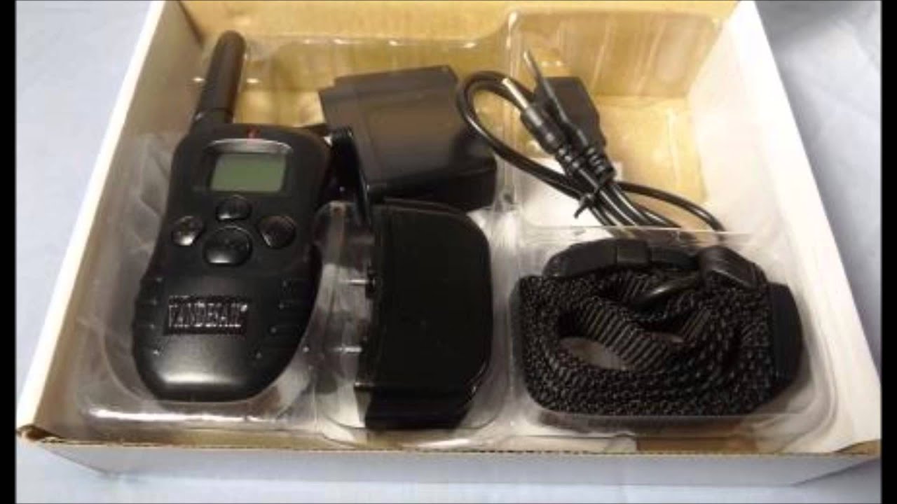 Dog training collar YouTube