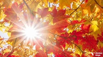 وإذ نتقنا الجبل فوقهم كأنه ظلة الربع الخامس من الجزء التاسع من سورة الأعراف الحصري المعلم للقران 🌿