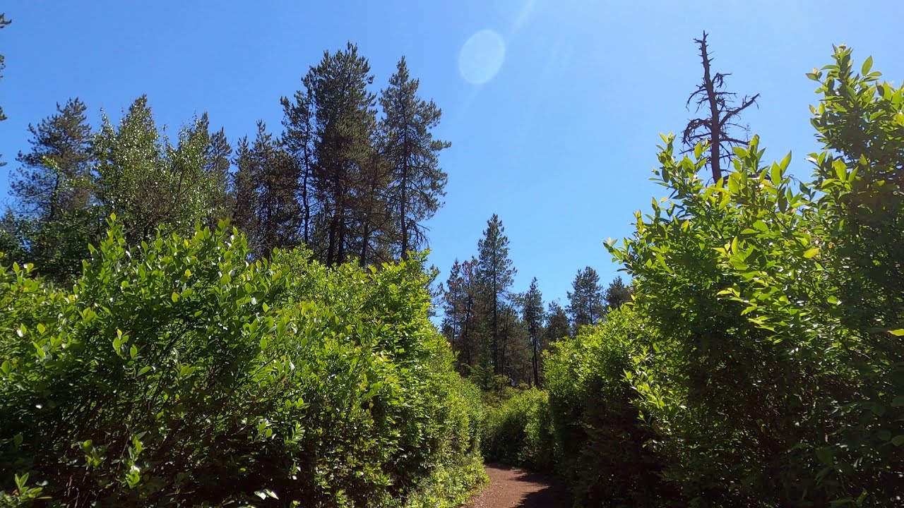 Richmond Nature Park | Richmond | BC