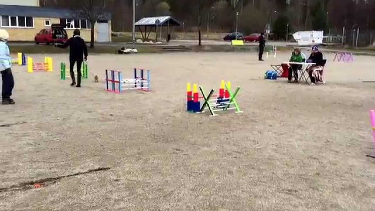 Miss Pinky's Golden Nugget