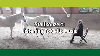 Horses listening to cello music