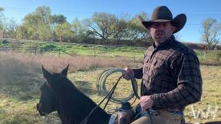 NO DAYS OFF FOR A TOP RANCH HORSE