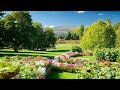 Royal Tasmanian Botanical Garden | Hobart Tours