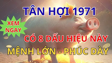 Tử Vi Tân Hợi 1971: Phải Có MỆNH LỚN - PHÚC DÀY Mới Sở Hữu 8 Dấu Hiệu Này (Hiếm Có) Bí Ẩn Phong Thủy