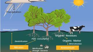 Ecosystem ppt