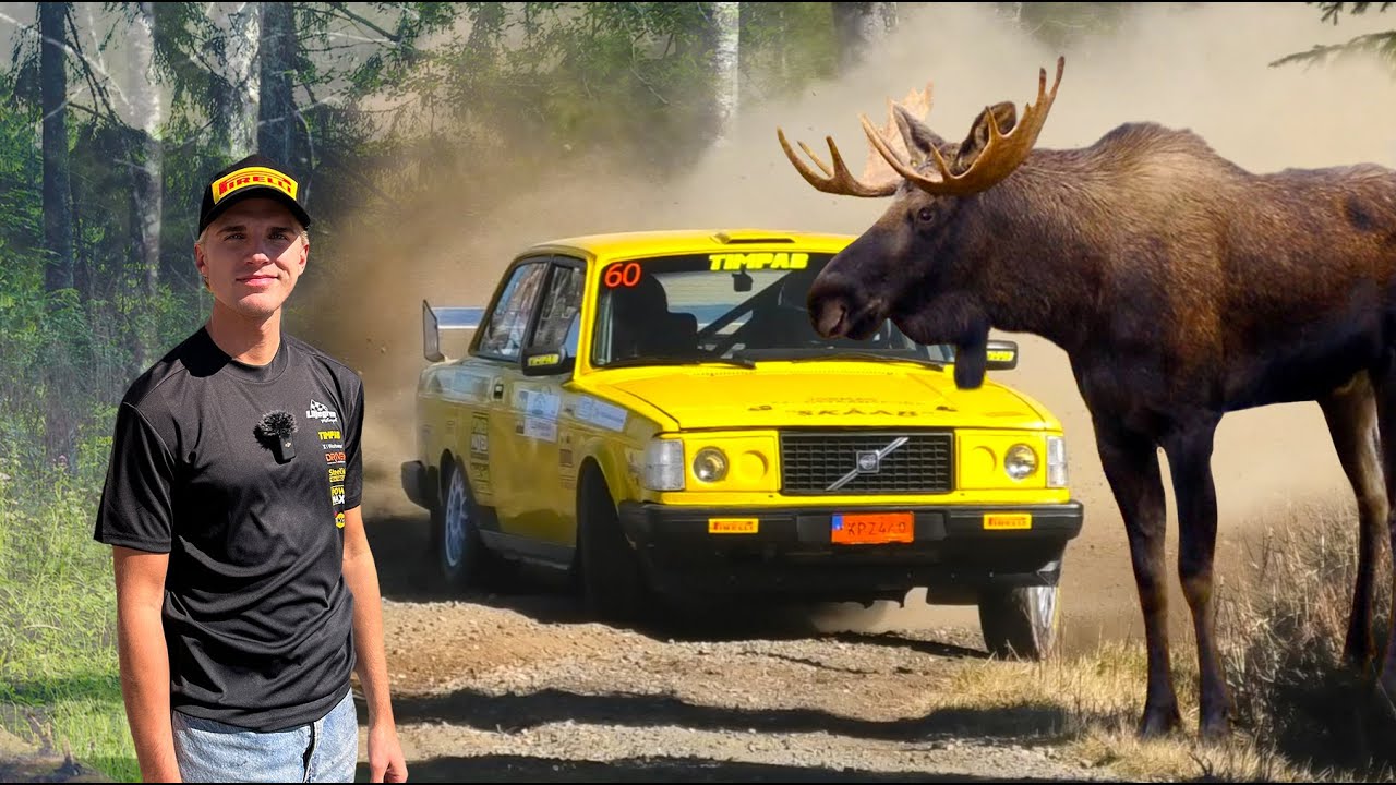 Rallytävlingen slutar med ÄLGKROCK!