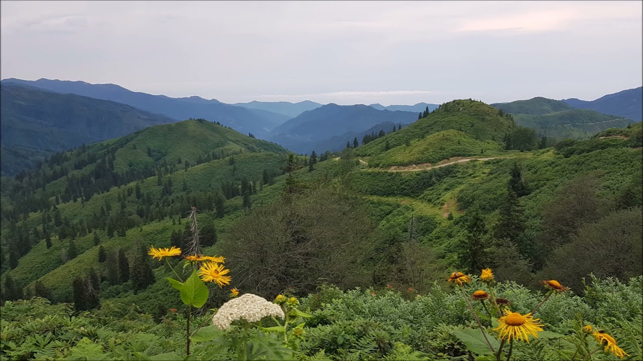 Artvin Arhavi Dikme ve Acıgöl yaylası/Dikme and Acigol plateau in Arhavi, Artvin.
