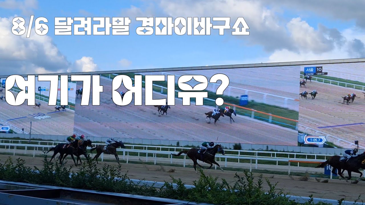 경마장도 후끈후끈 달아오른 사단