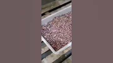 copper and aluminum separated by Angelon color sorting machine/jasmine@ajlong.cn