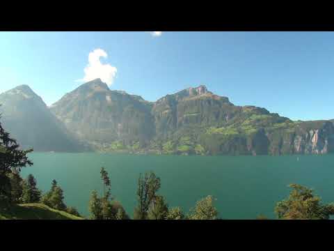 Silvio Condo Irish Whistle 