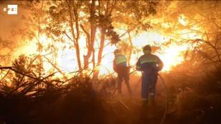 Remite la pesadilla del fuego en Galicia con un único foco activo