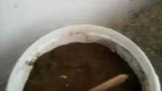 Tohumlu Kalemi Ektim