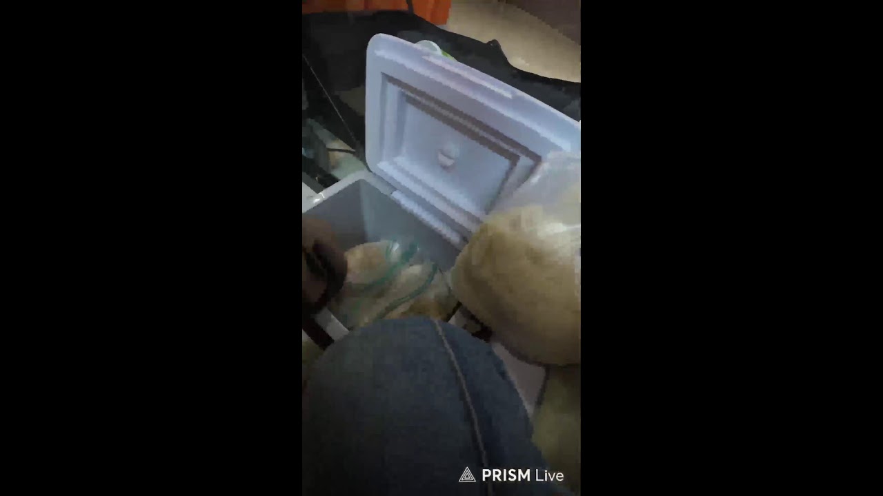 🔴 try Japanese food 🍥