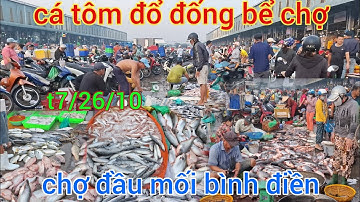thứ7/26/10 cá tôm ế ẩm bể chợ xổ rẻ bất ngờ chợ đầu mối bình điền