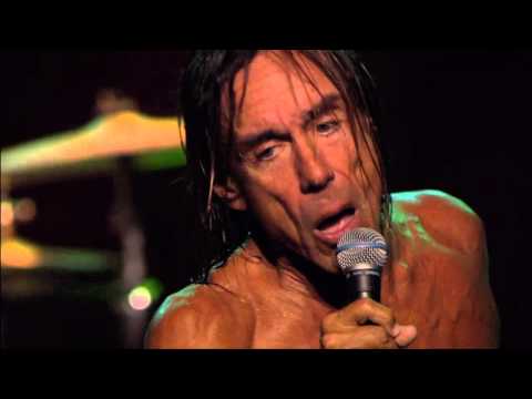 iggy pop and the stooges ready to die rar