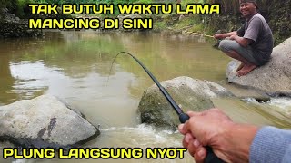 Mancing Nilem Setelah Hujan Pas lagi Gacor Gacornya #LM34