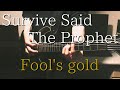 【GuitarCover】Fool's gold/Survive Said The Prophet