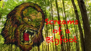 Bigfoot Howls of Bruno WV. Aka The Trent Vocalizations