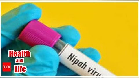 Nipah under control, screening will continue till June 30: Kerala health minister K K Shailaja