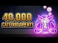 I spent 40000 Cat Food on the Elemental Pixies banner