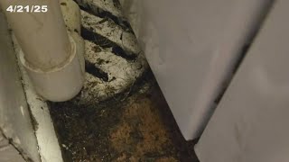 Fort Hood housing nightmare as family is placed in units with ceiling collapse, raw sewage backups