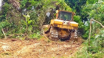The Easiest Way To Clean Abandoned Plantations Using a Dozer, CAT D6R The Most Suitable Dozer
