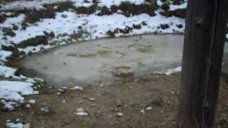 DSCN1707.MOV