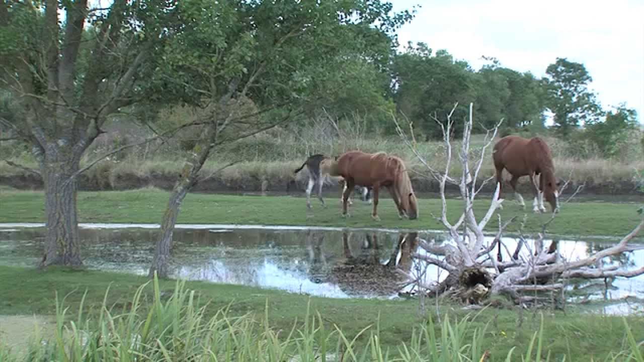 Triaize tourisme 2014