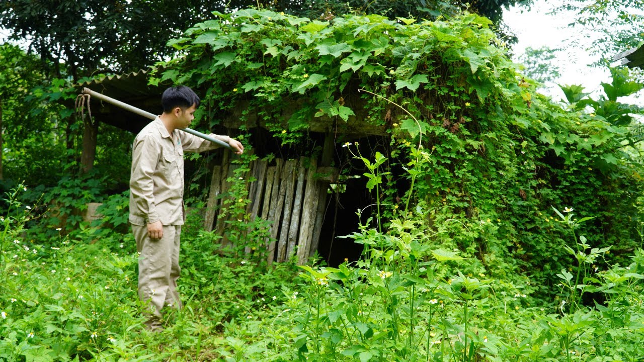 The student leaves the city for the forest | cleans up an abandoned house and builds his own farm.