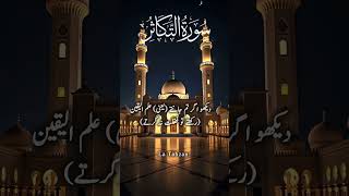 Download Lagu Surah At Takasur سورة التكاثر | Urdu tarjuma #quran #quranwithurdutarjama #surahattakasur #attakasur MP3
